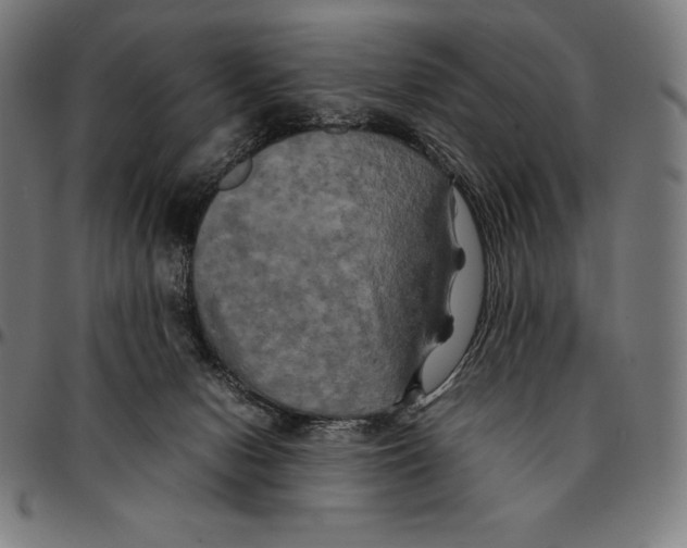 X0000095120078200801041232