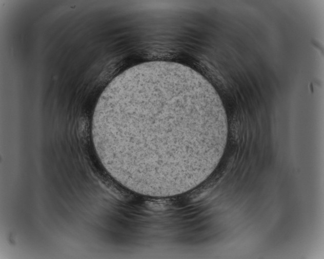 X0000095120079200801041232