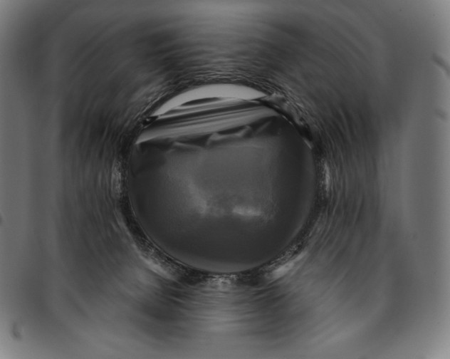 X0000095120080200801041232