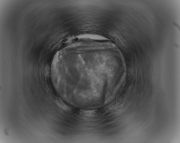 X0000095120081200801041232