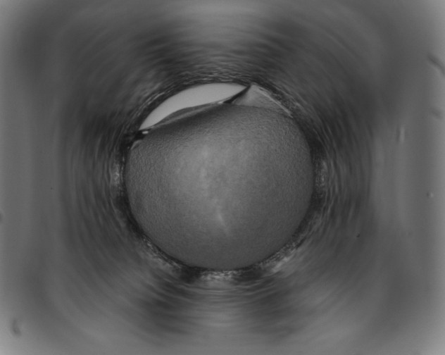 X0000095120084200801041232