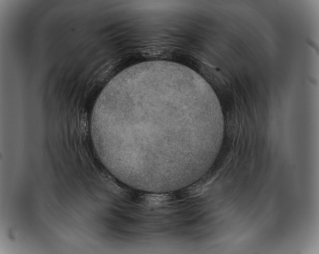 X0000095120085200801041232