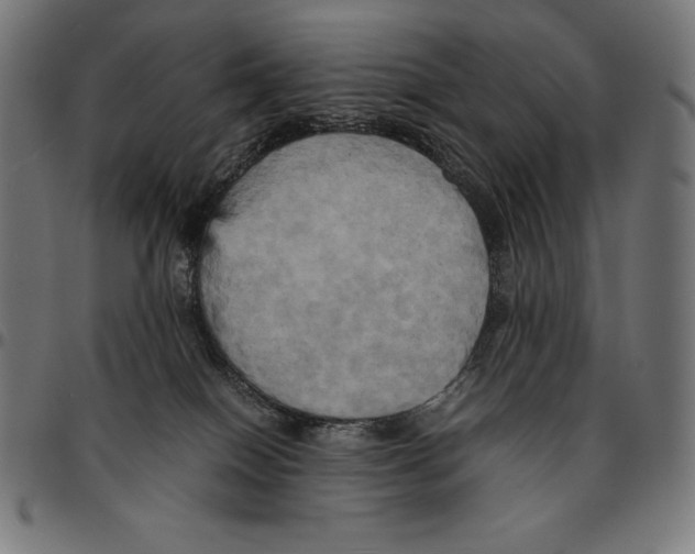 X0000095120086200801041232