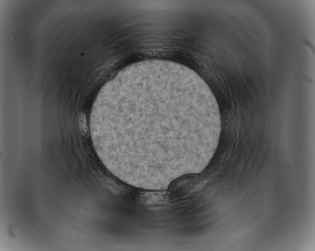 X0000095120089200801041232