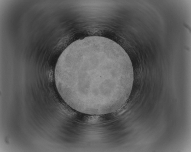 X0000095120090200801041232