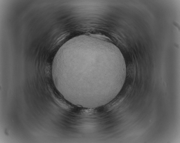 X0000095120092200801041232