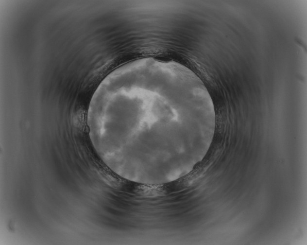 X0000095120093200801041233