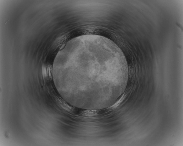 X0000095120094200801041233