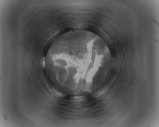 X0000095120095200801041233