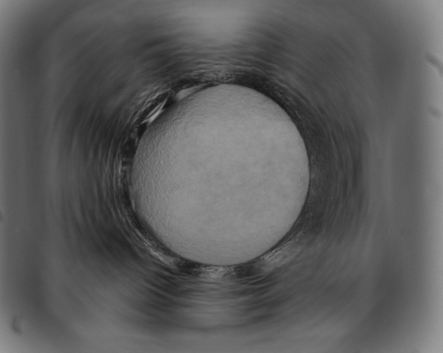 X0000095120096200801041233