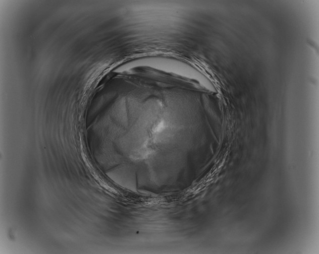 X0000095120097200801041232