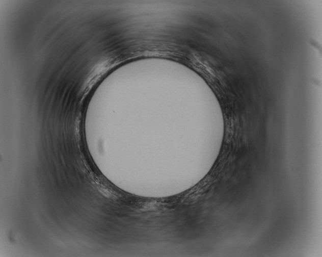 X0000095120098200801041232