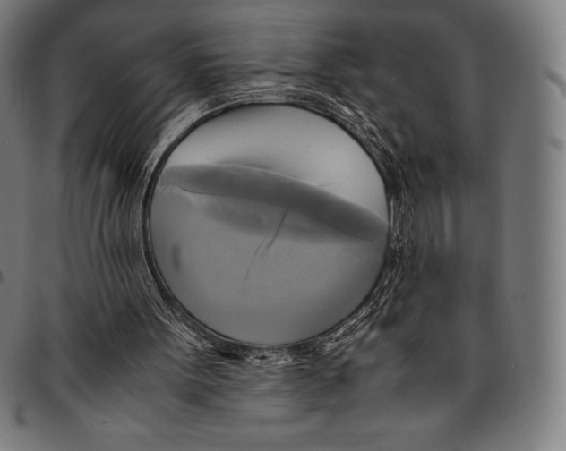 X0000095120099200801041232