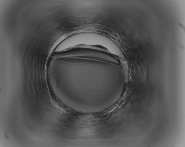 X0000095120100200801041232