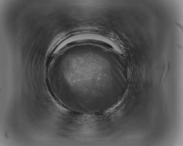 X0000095120101200801041232