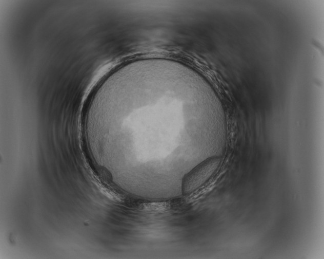 X0000095120102200801041232