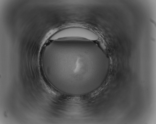 X0000095120104200801041232