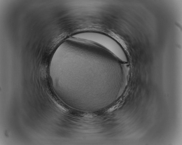 X0000095120105200801041232