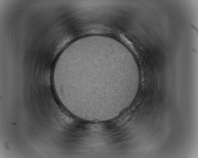 X0000095120106200801041232