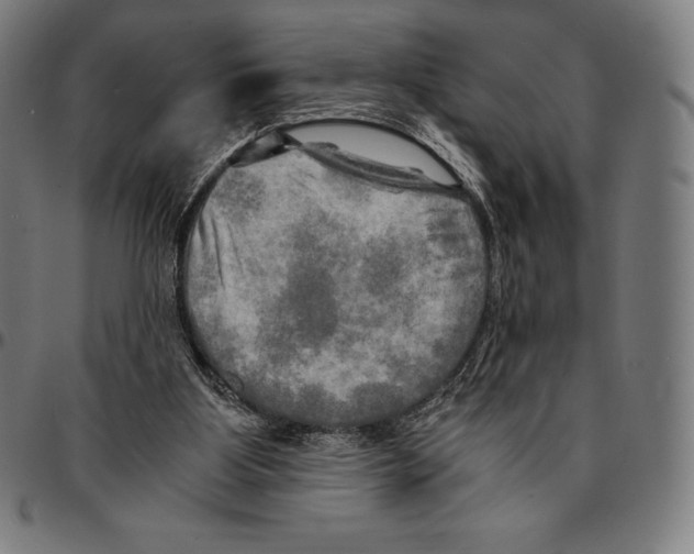 X0000095120107200801041232