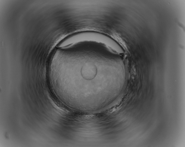 X0000095120108200801041232