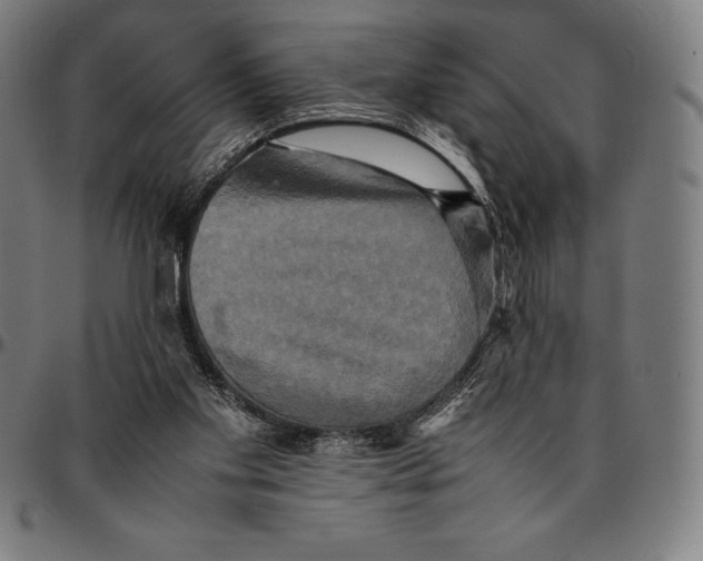 X0000095120109200801041232