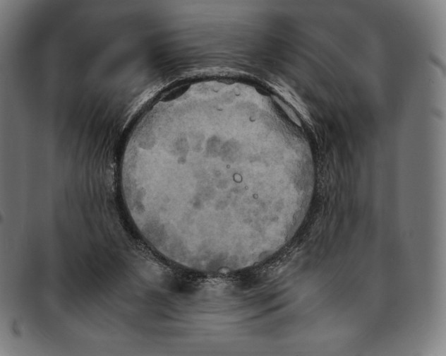 X0000095120111200801041232