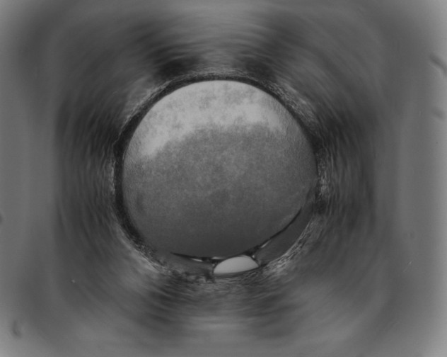 X0000095120112200801041232