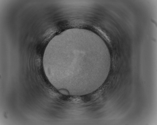 X0000095120113200801041232