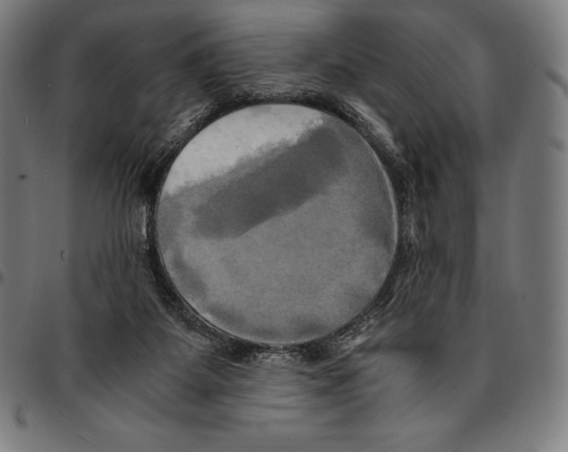 X0000095120115200801041232