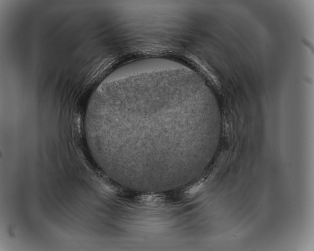 X0000095120117200801041232