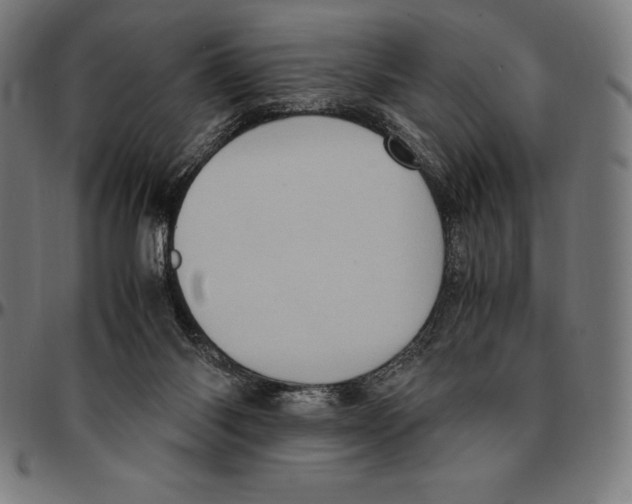 X0000095120118200801041232