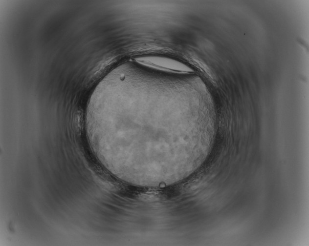 X0000095120119200801041232