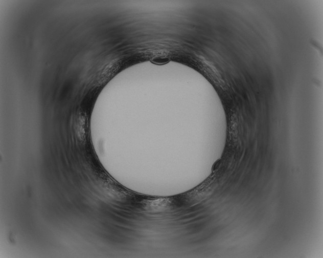 X0000095120122200801041232