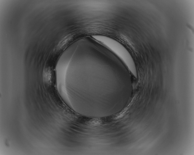 X0000095120124200801041232