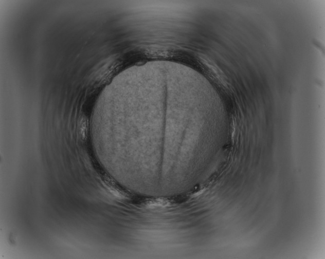 X0000095120125200801041232