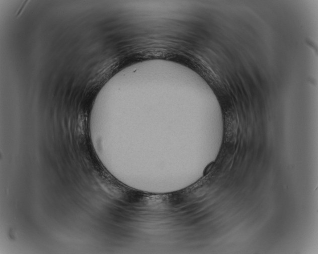 X0000095120126200801041231