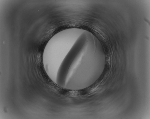 X0000095120127200801041231