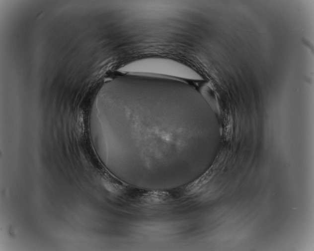 X0000095120128200801041231