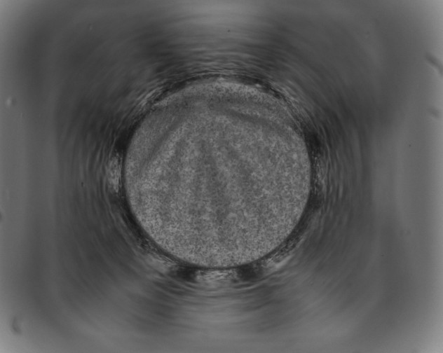 X0000095120129200801041231