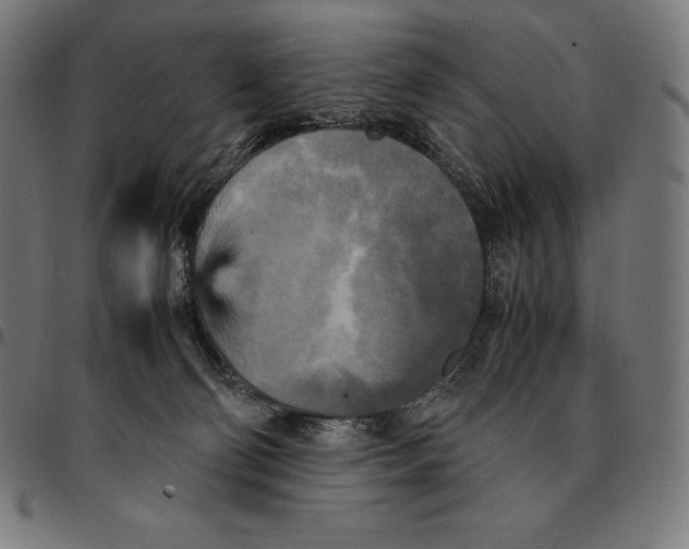 X0000095120130200801041231