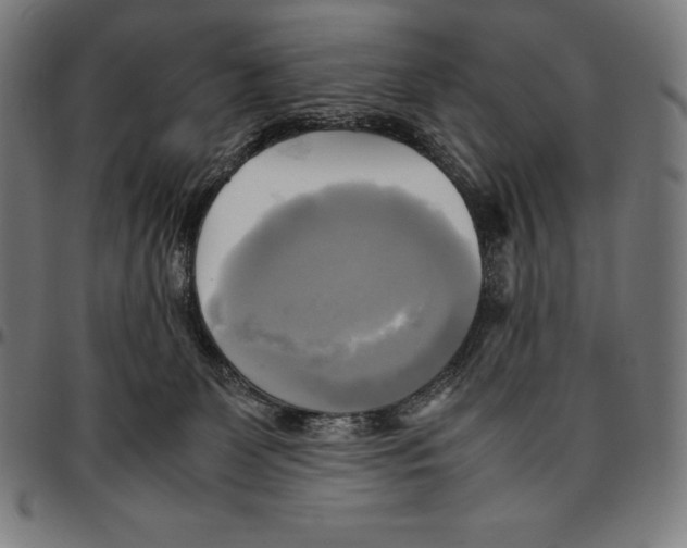 X0000095120131200801041231