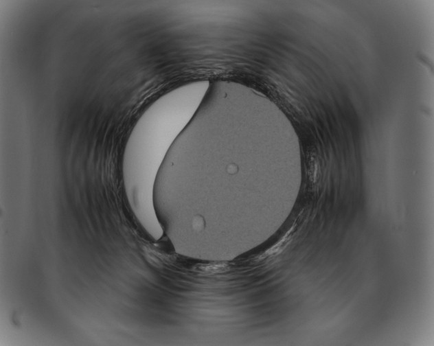 X0000095120132200801041231