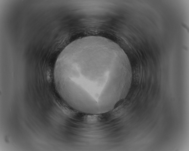 X0000095120134200801041231