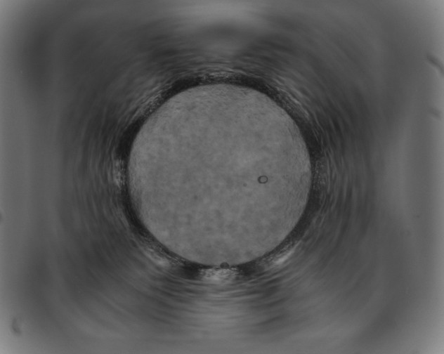 X0000095120135200801041231