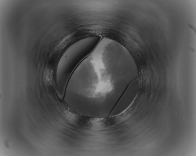 X0000095120136200801041231