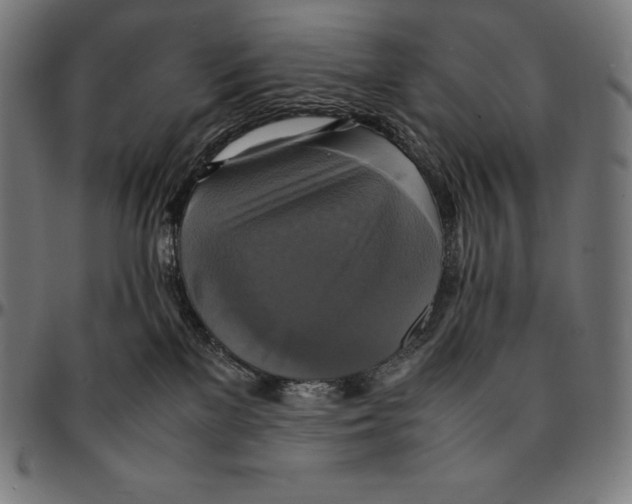 X0000095120137200801041231