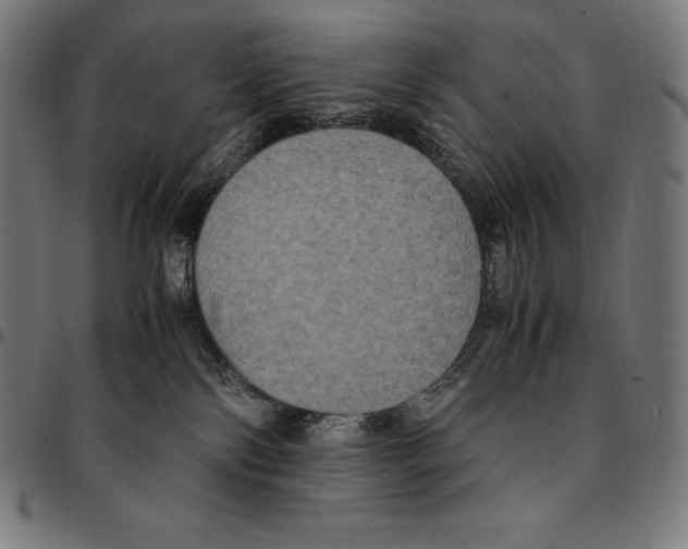 X0000095120138200801041231