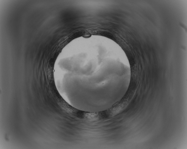 X0000095120139200801041231