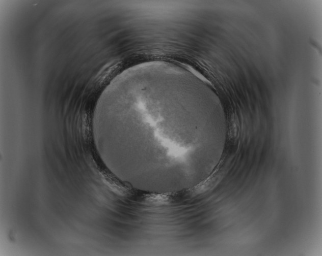 X0000095120140200801041231